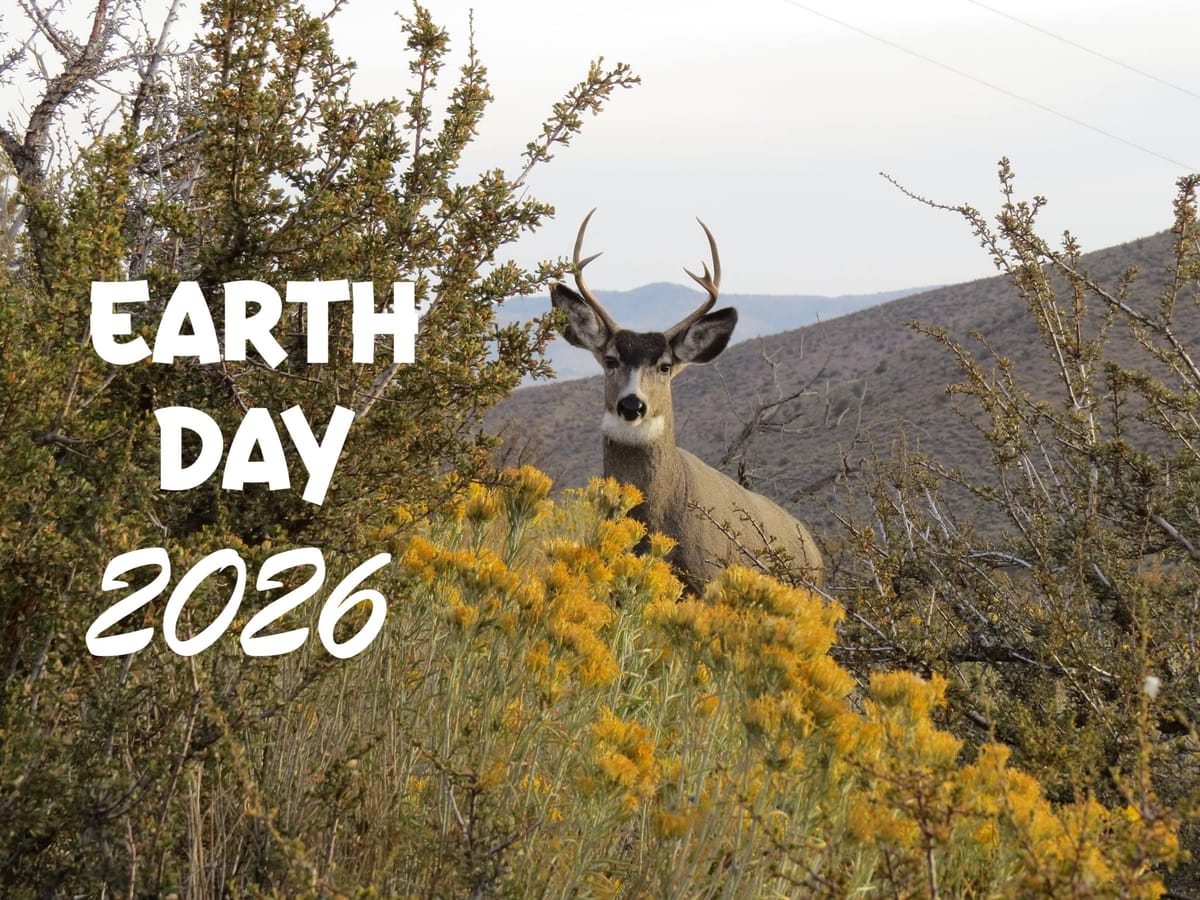 Celebrate Earth Day 2026!
