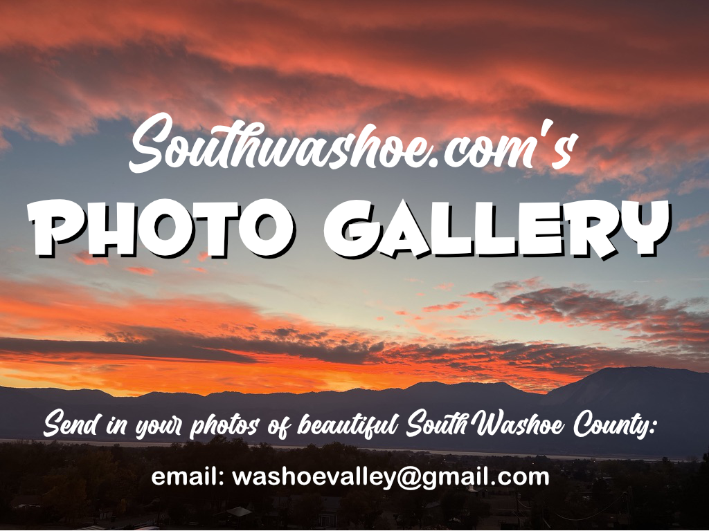 Photos
