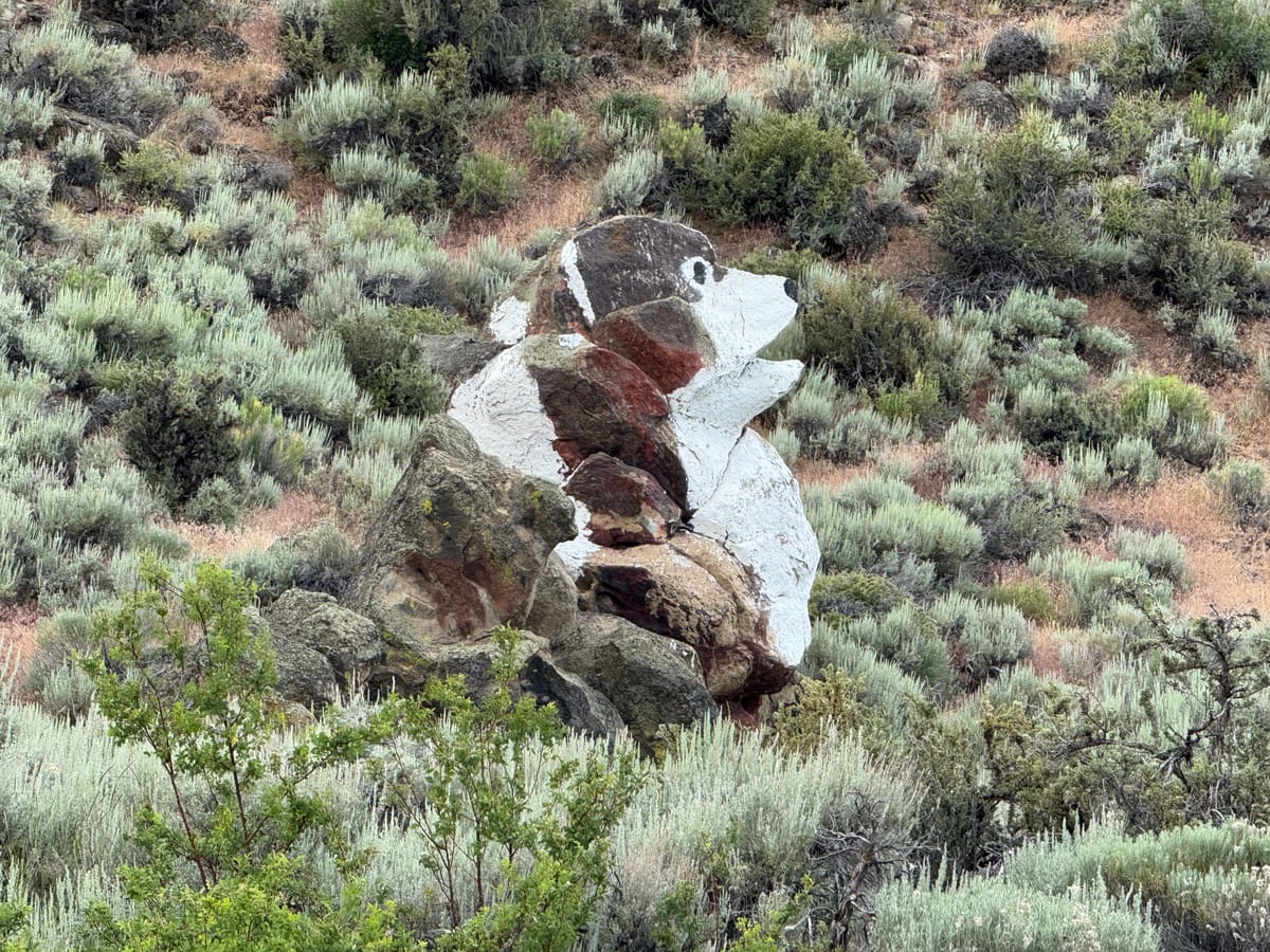 History of Dog Rock