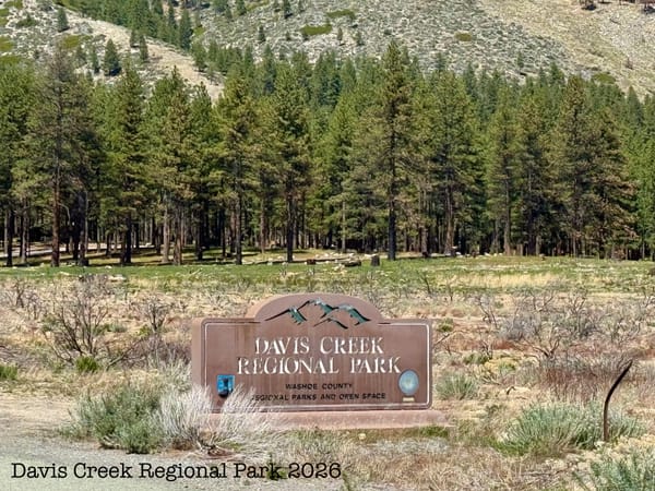Davis Creek Park After The Fire