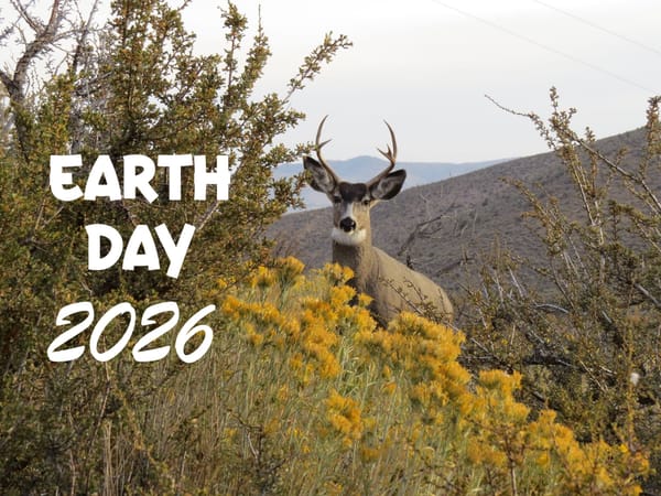 Celebrate Earth Day 2026!