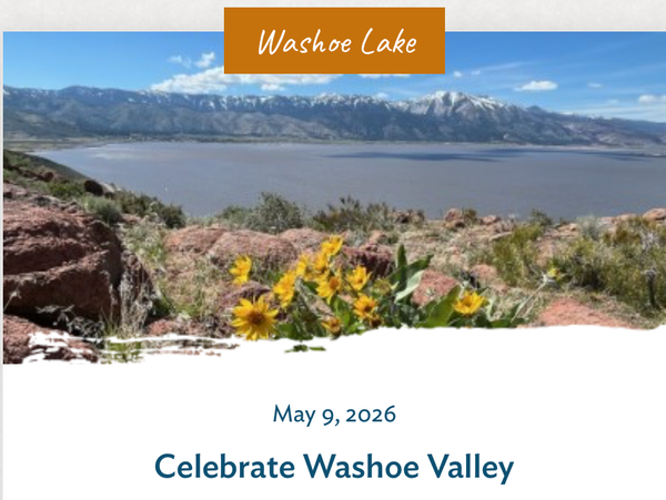 Celebrate Spring at Washoe Lake State Park