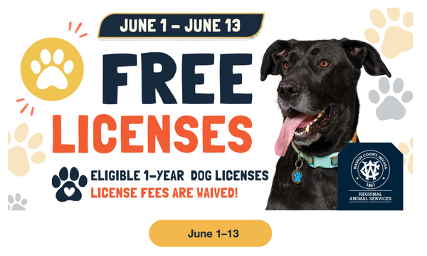 Free Dog Licenses