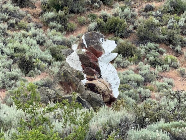 History of Dog Rock