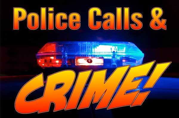 Police Action in Washoe Valley